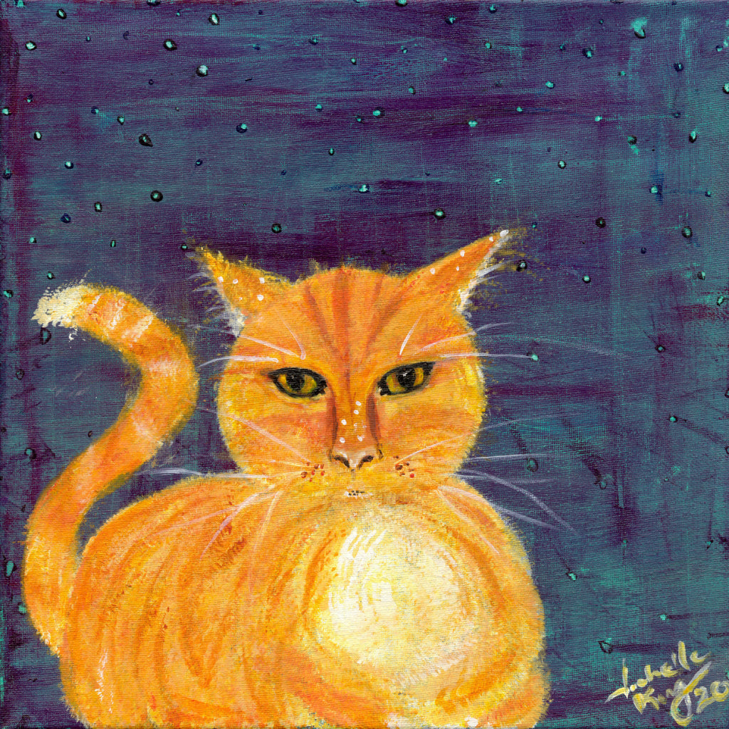 Starry Night Cat