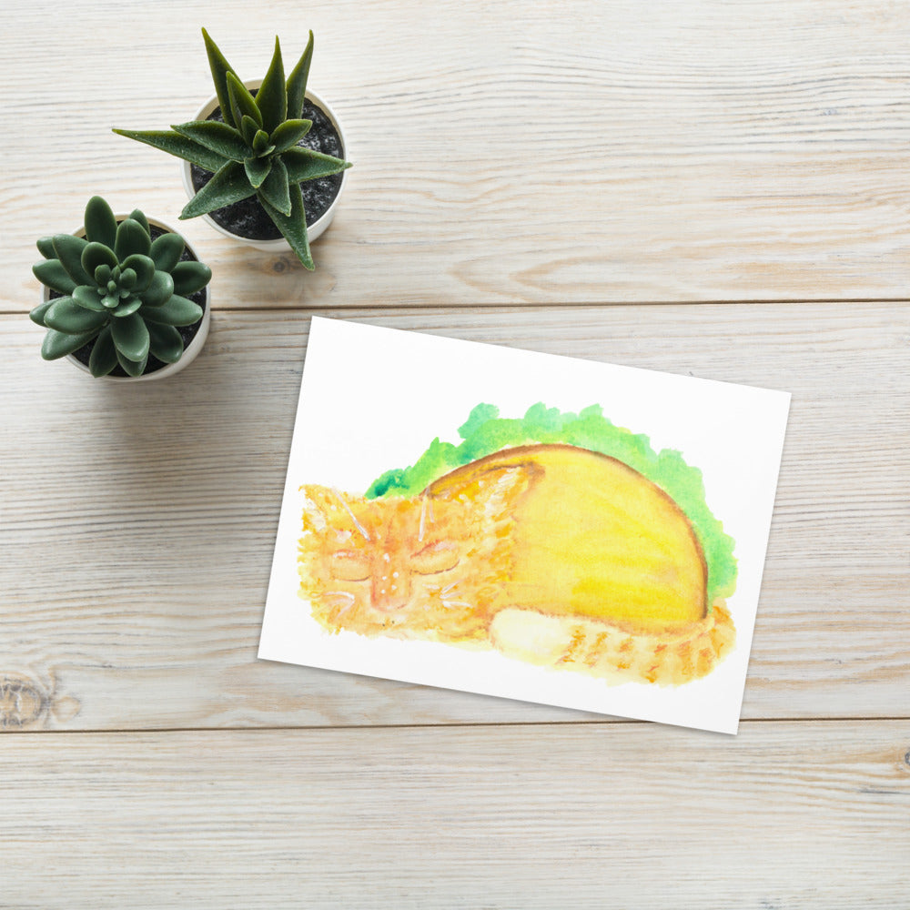 TacoCat Greeting Card